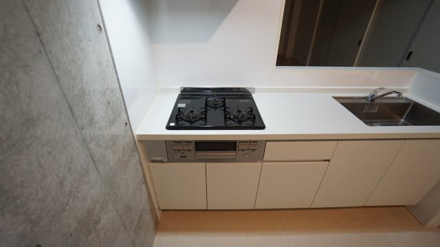 川崎市多摩区菅２丁目の賃貸マンションのキッチン