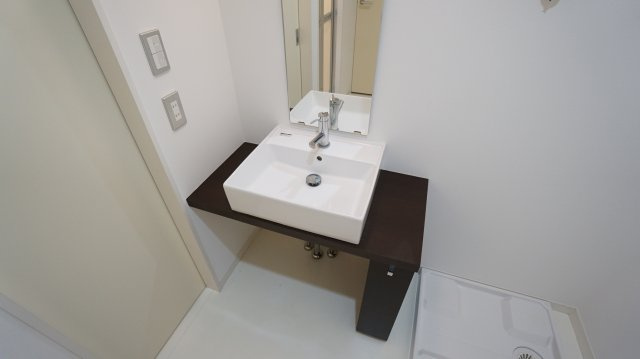 川崎市多摩区菅２丁目の賃貸マンションの洗面所