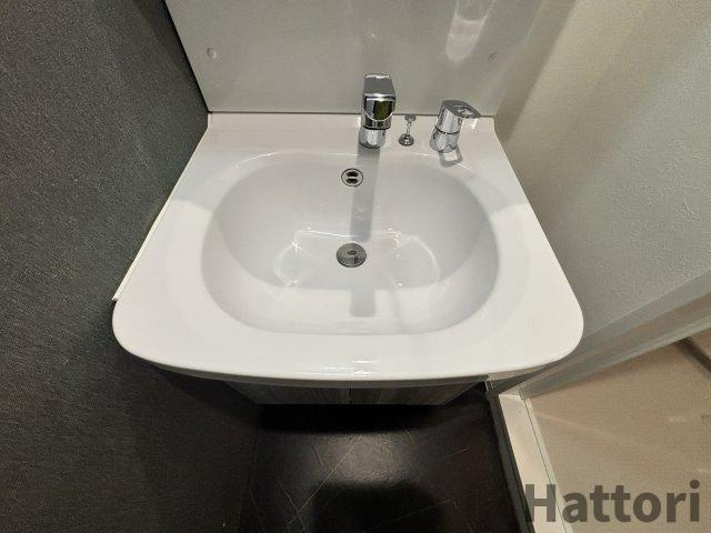 プレサンス江坂クォーレの洗面所