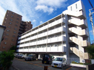 Gran Pino武庫川の画像