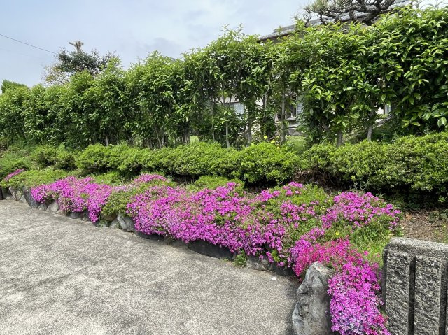 ６５７５４　瑞穂市牛牧中古戸建て