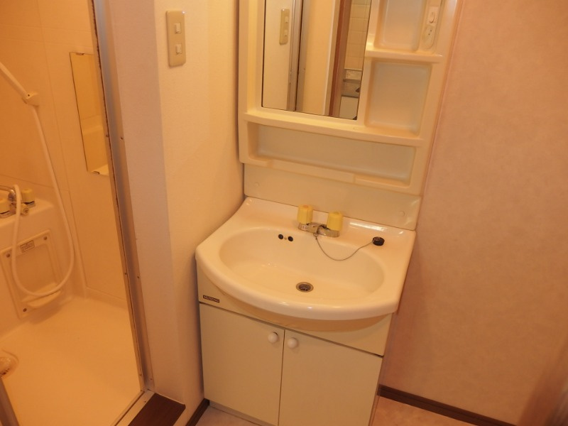 フォンテーヌⅡの洗面所