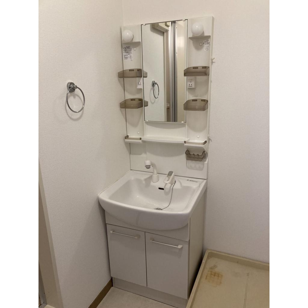 メゾン・リンデンバウムの洗面所