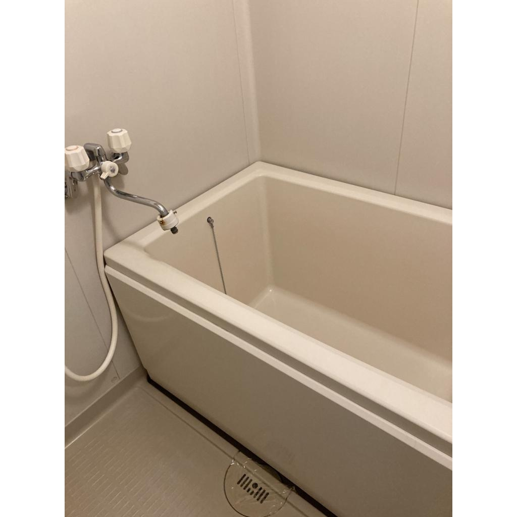 メゾン・リンデンバウムの浴室