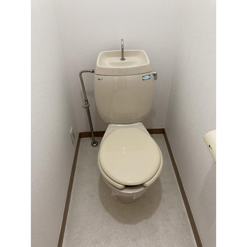 メゾン・リンデンバウムのトイレ