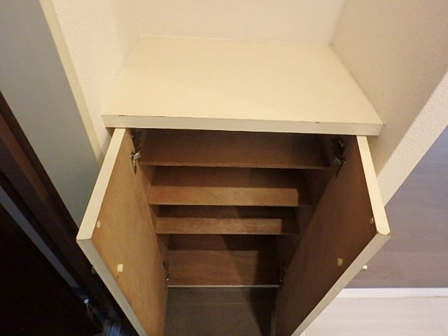 ライオンズマンション横浜第三の収納|靴入