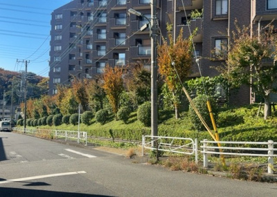 【中庭】 | ドラゴンマンション多摩学園都市伍番館Ａ | 中庭（パティオ）とは、一つの建築物の内部に設けられた、壁などで囲われている庭のことを指します。コの字型、ロの字型が主流ですが、L字型の中庭もあります。最近では、インテリア性の高さからも人気があります。