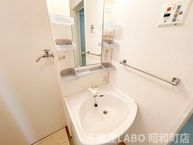 メゾン ド アールの洗面所