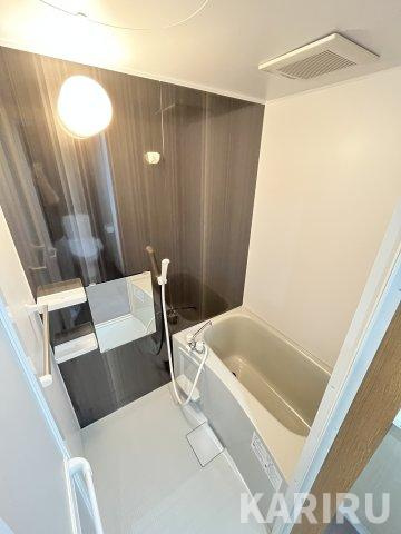 ヴァンクール城東の浴室|同物件別部屋の写真です