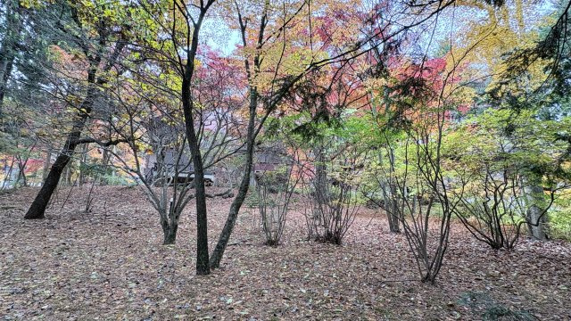 旧軽井沢 泉の里エリア 閑静で緑に囲まれた売土地