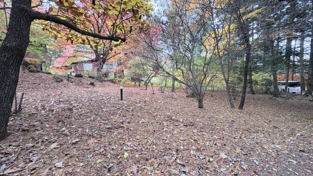 旧軽井沢 泉の里エリア 閑静で緑に囲まれた売土地のその他