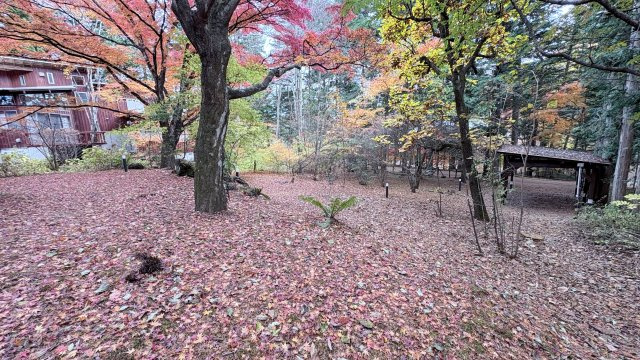 旧軽井沢 泉の里エリア 閑静で緑に囲まれた売土地のその他