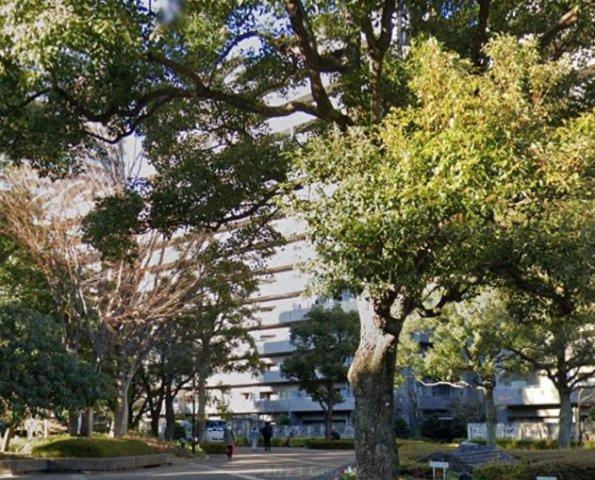 アイムふじみ野東弐番館の外観|外観もきれいです