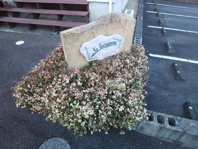 ネイ・ヴァンクールのその他