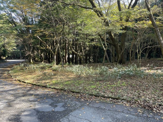 【外観】 | 東急天城高原別荘地　売地