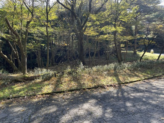 【外観】 | 東急天城高原別荘地　売地