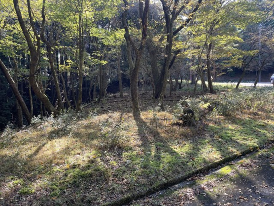 【外観】 | 東急天城高原別荘地　売地