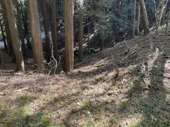 【外観】 | 東急天城高原別荘地　売地