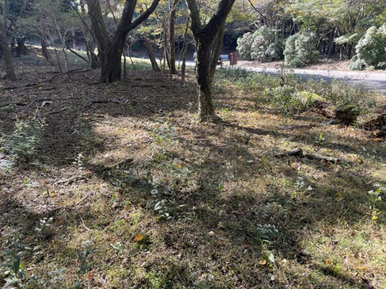 【外観】 | 東急天城高原別荘地　売地