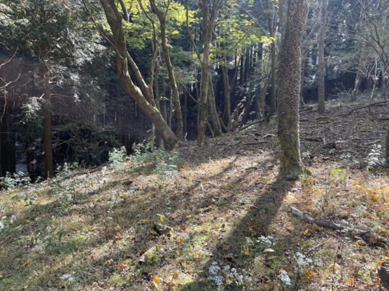 【外観】 | 東急天城高原別荘地　売地