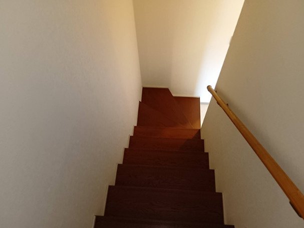 ネイ・ヴァンクールのその他