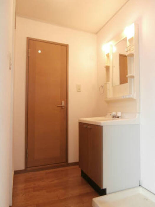 メゾンドールα　D棟の洗面所