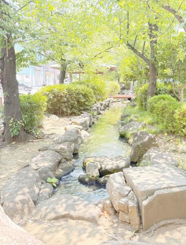 ネオコーポ亀有のその他