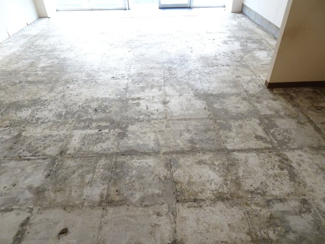 メゾンコーエイの内装