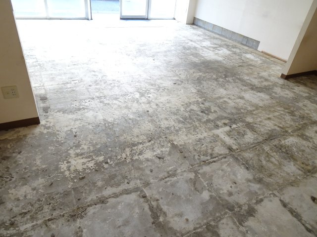 メゾンコーエイの内装