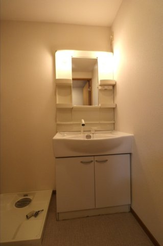 リースランド平福　B棟の洗面所