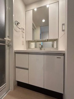 アビティ江坂の独立洗面台|独立洗面化粧台が付いています