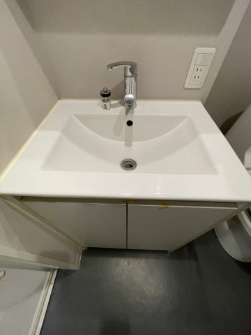 ロワジール宝塚の洗面所