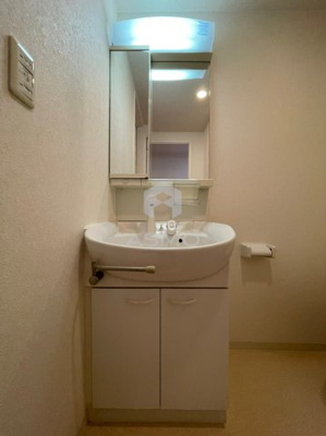 【洗面所】 | メゾン・ド・ヴィレ大阪城公園前