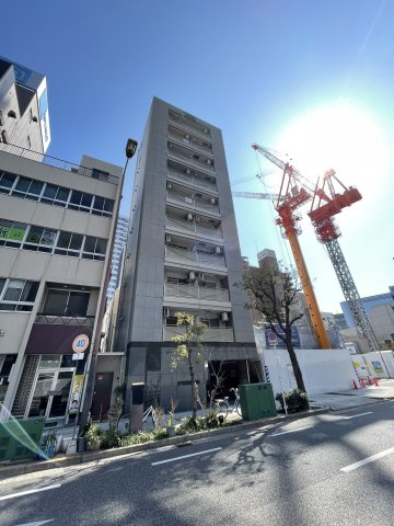 CITY DWELL SKY TORTOISE