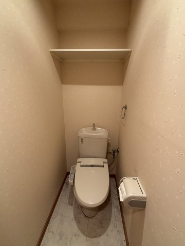 ディユ・ラフィーネのトイレ