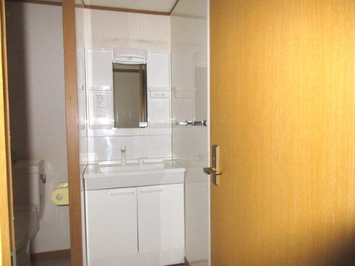 ソシアル琥珀のその他