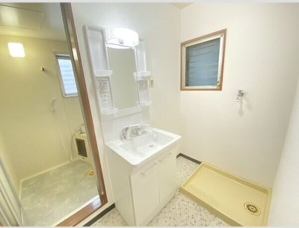 グリンハウスの洗面所