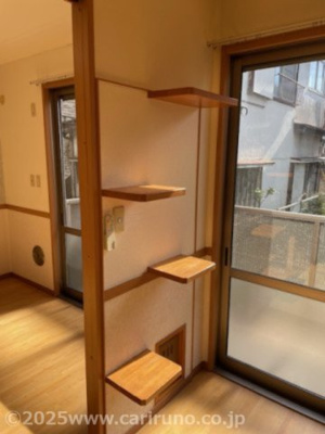 【内装】 | コンフォート・フォレスト | キャットウォーク