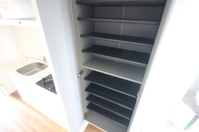 【収納】 | スプランディッド天王寺Ⅲ | シューズボックス