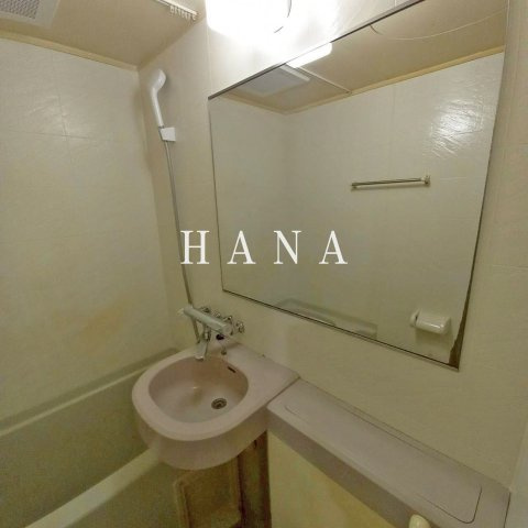 METEORIT弐番館の洗面所