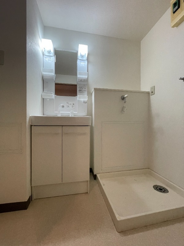 タートルクレインふじみ野Ⅱの独立洗面台