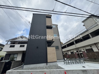 Ｄ　ｐｏｒｔａ　ｖｉｏｌｅｔの画像