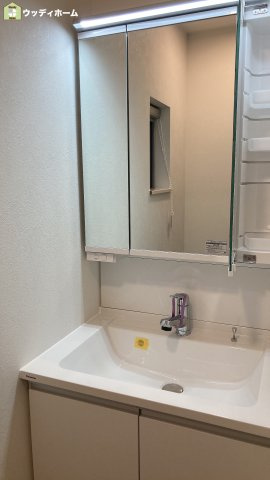 川口市青木2丁目　中古一戸建ての独立洗面台