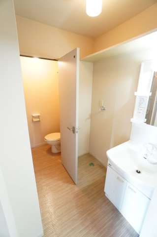 ルーブルハウスBの洗面所|コンパクトで使いやすい洗面所