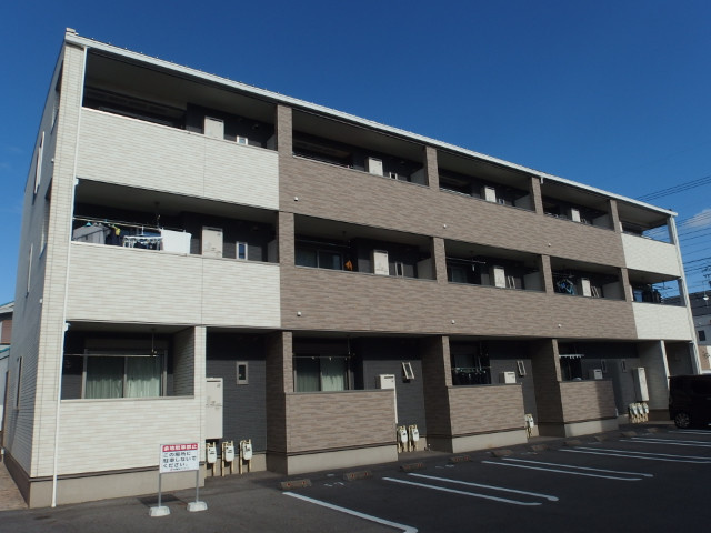 向日葵の花の外観