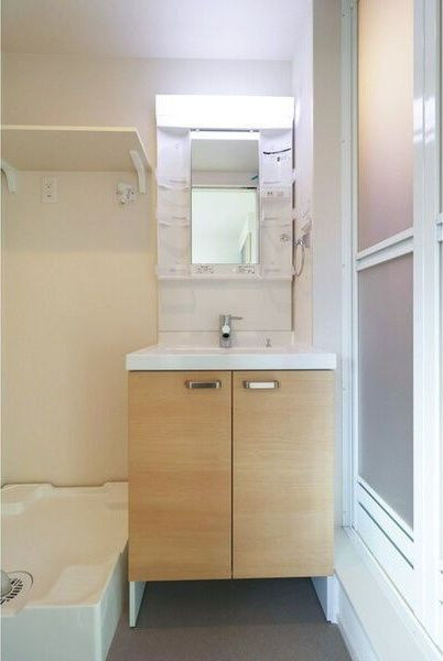 ハーモニーテラス住吉Ⅱの洗面所