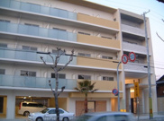 アロハ海岸通の画像