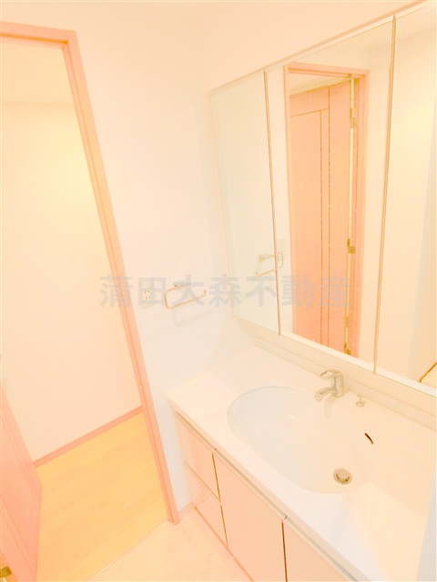 蒲田駅駅近マンションの洗面所|洗面脱衣所　3面鏡の独立洗面台　