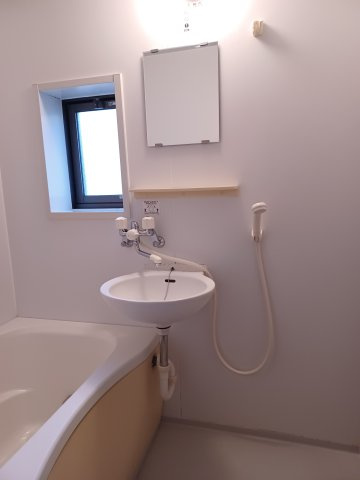 テラス　アオスタの洗面所