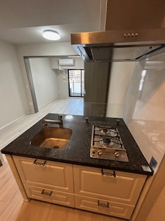 グランアッシュ江坂のキッチン|使いやすいキッチンです